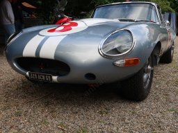JAGUAR E TYPE OTS_2